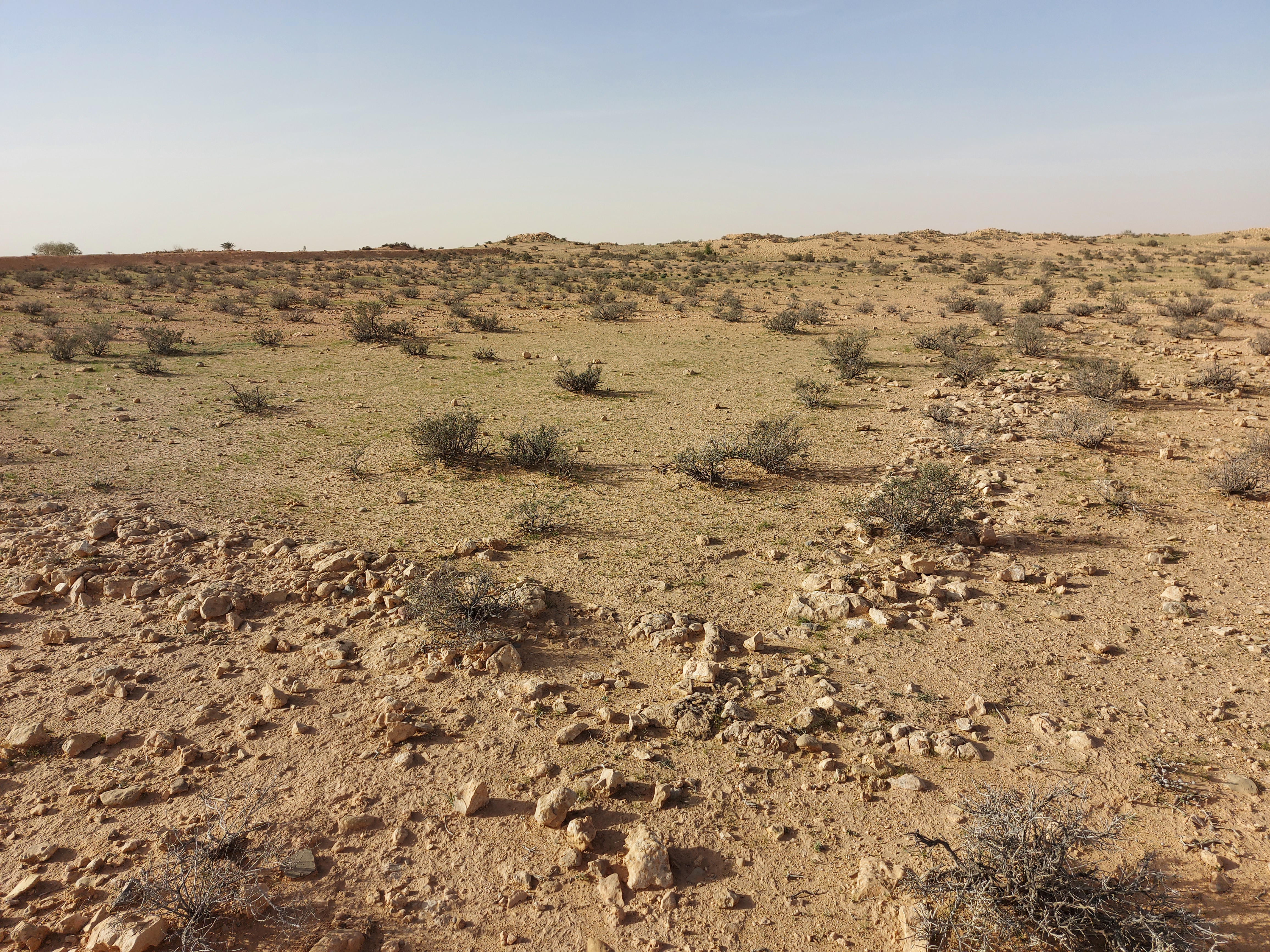 Traces of walls Hencir el-Fsgui